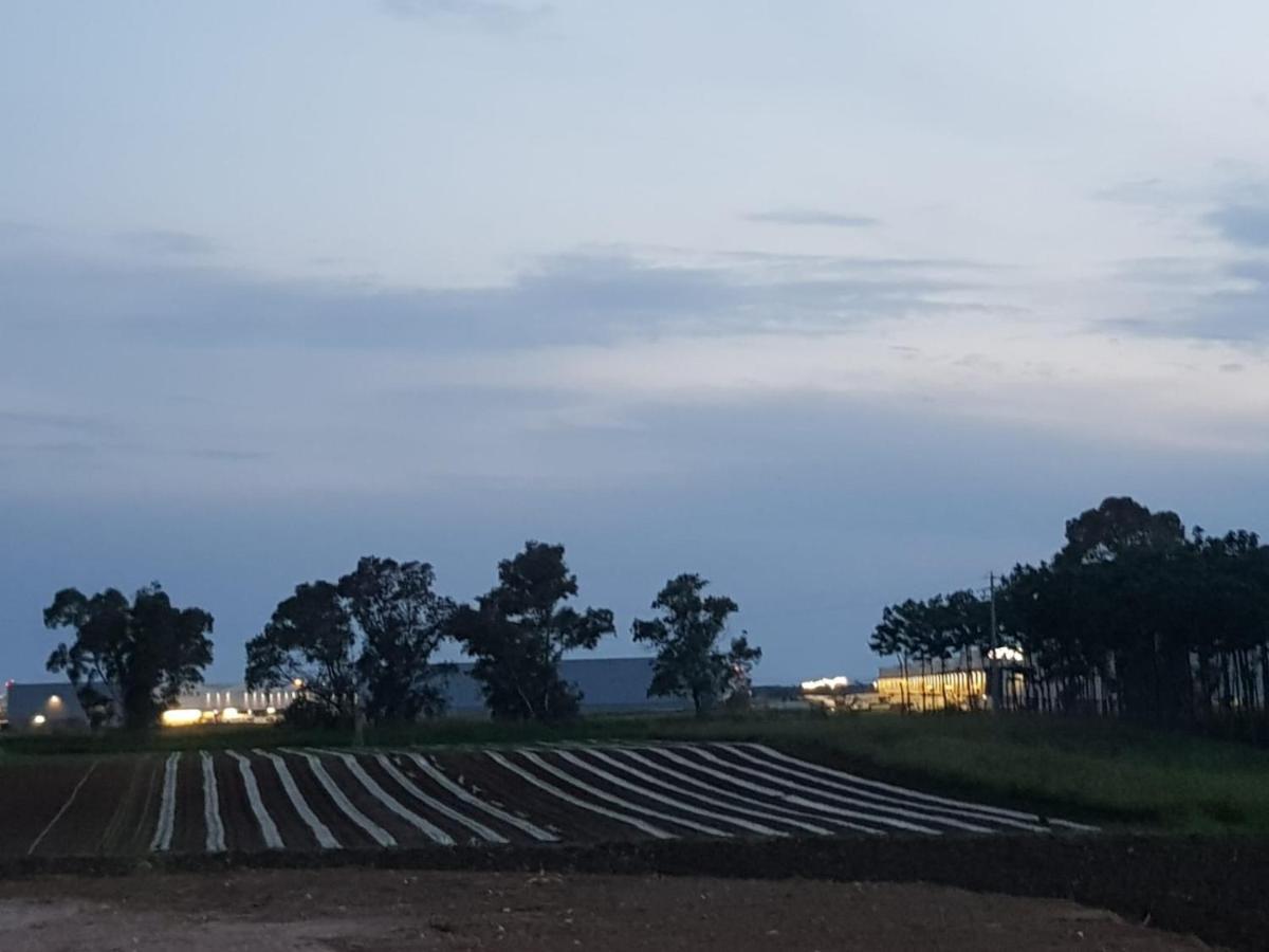 Agriturismo Il Casale ปอนเต กาเลเรีย ภายนอก รูปภาพ