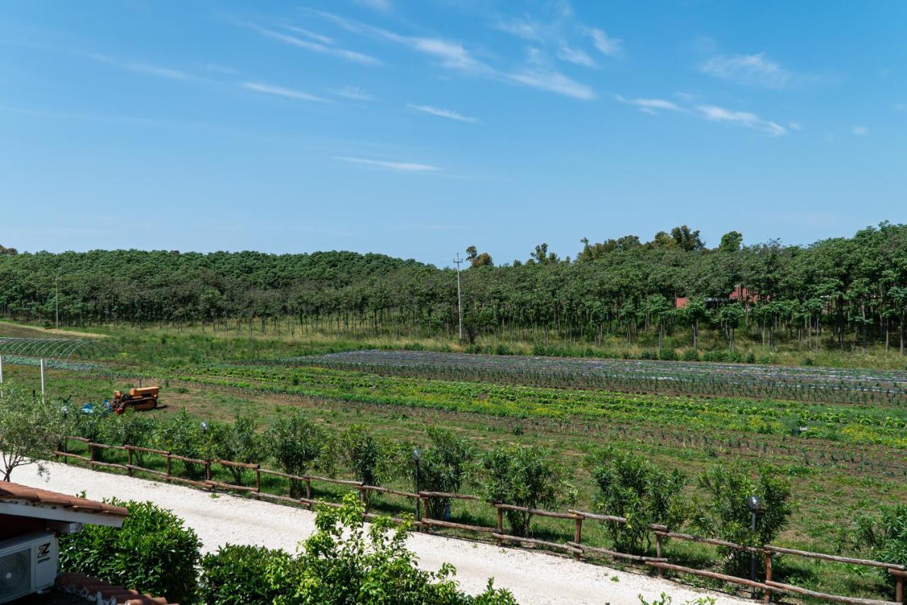 Agriturismo Il Casale ปอนเต กาเลเรีย ภายนอก รูปภาพ